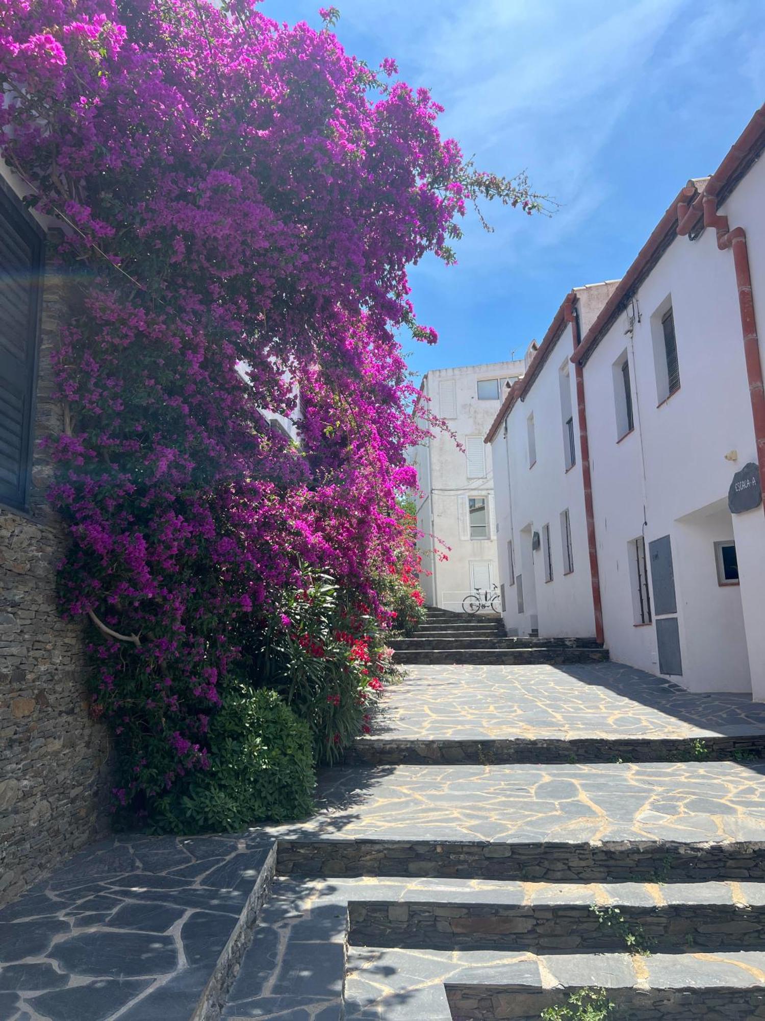 Canvas Apartments&Lofts Cadaques Luaran gambar
