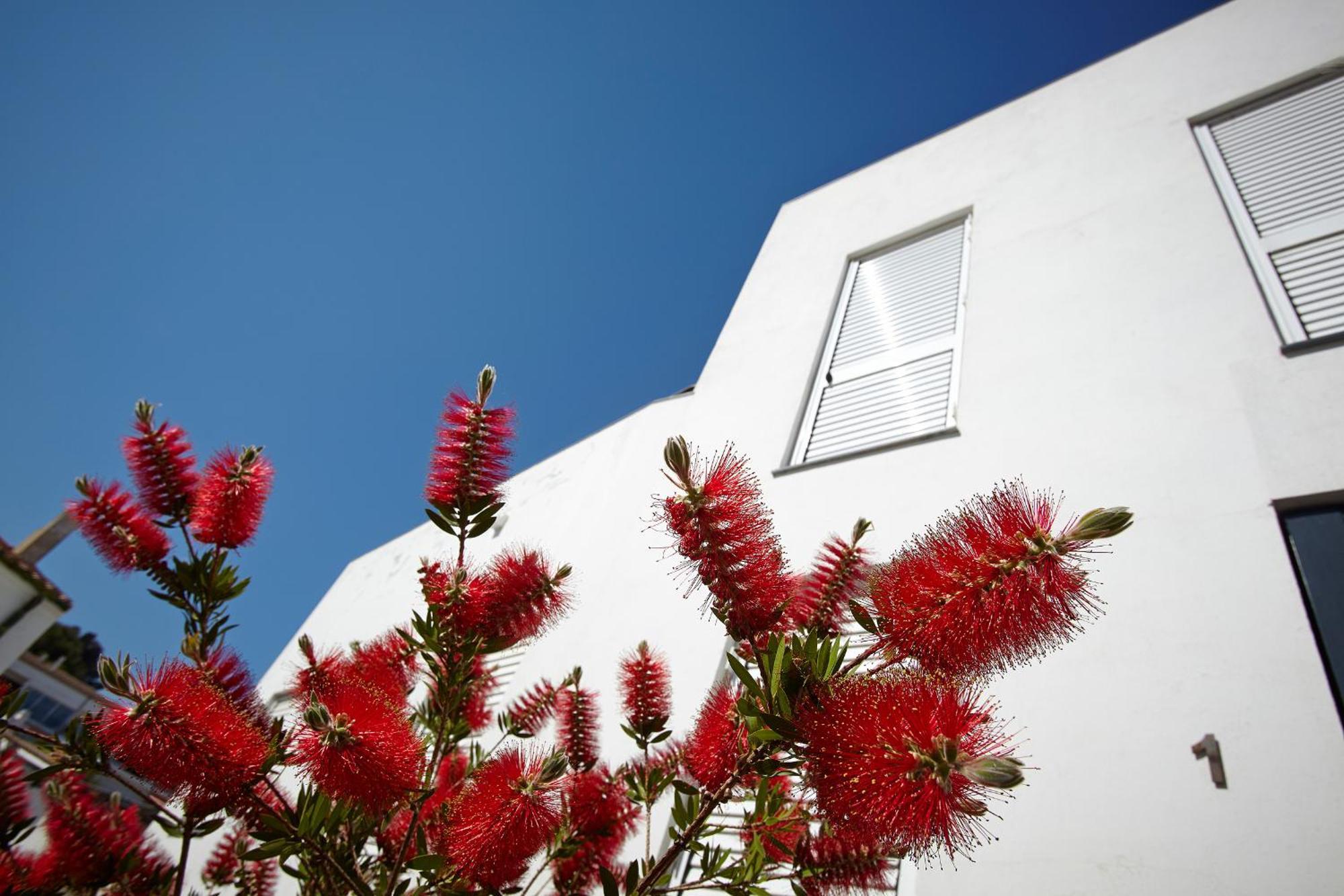 Canvas Apartments&Lofts Cadaques Luaran gambar